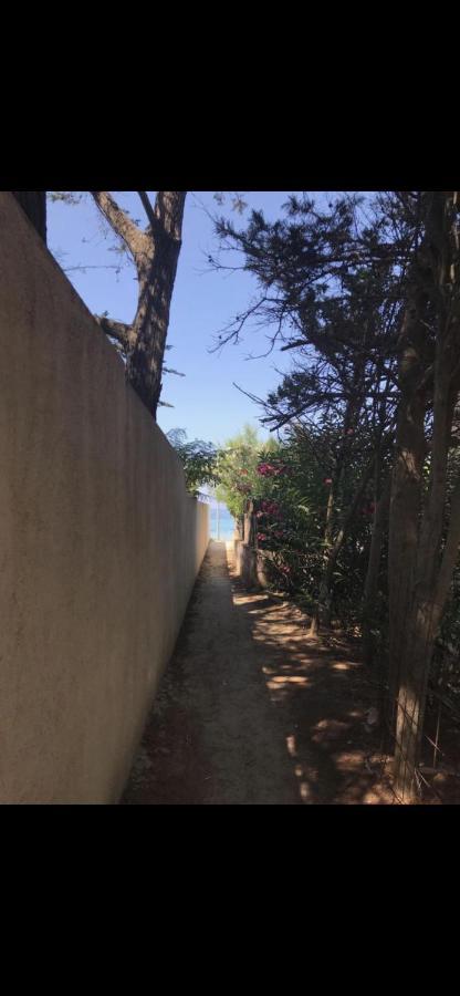 Appartamento Con Giardino A 50 M Dal Mare L'Ile-Rousse  Luaran gambar