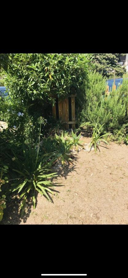 Appartamento Con Giardino A 50 M Dal Mare L'Ile-Rousse  Luaran gambar